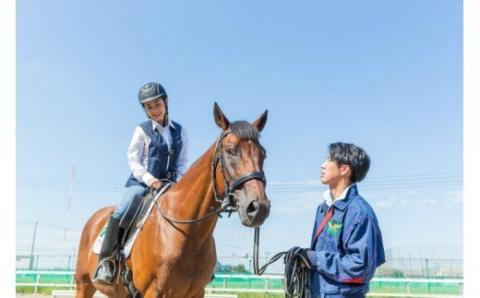 体験乗馬レッスン30分＋乗馬テキストプレゼント