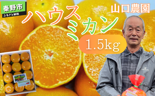 【先行予約！７月以降順次発送】甘いハウスみかん（1.5～5㎏) 1.5kg