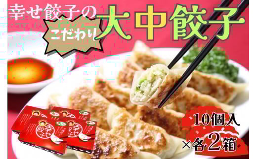 幸せ餃子のボリューム満点こだわり大・中餃子（各２箱）