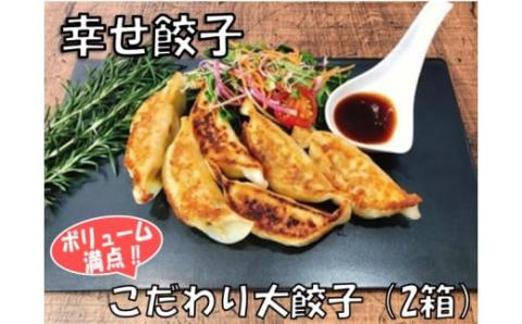 幸せ餃子のボリューム満点こだわり大餃子(2箱)