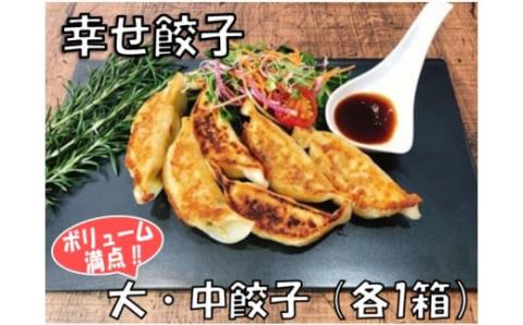 幸せ餃子のボリューム満点こだわり大・中餃子(各1箱)