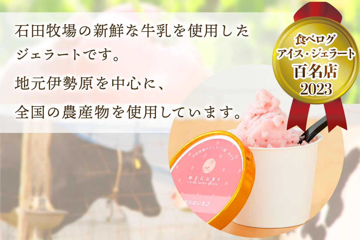 石田牧場のジェラート屋めぐり おまかせ ジェラート12個セット｜石田牧場 ジェラート 伊勢原 贅沢素材 アイス アイスクリーム スイーツ ギフト 詰め合わせ 贈り物 プレゼント 人気 お取り寄せ [0253]
