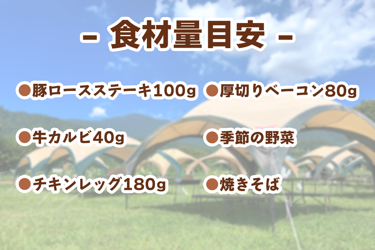 [食材付] 丹沢大山を望む芝生広場で手ぶらBBQプラン (1名様分)｜BBQ バーベキュー アウトドア [0282]