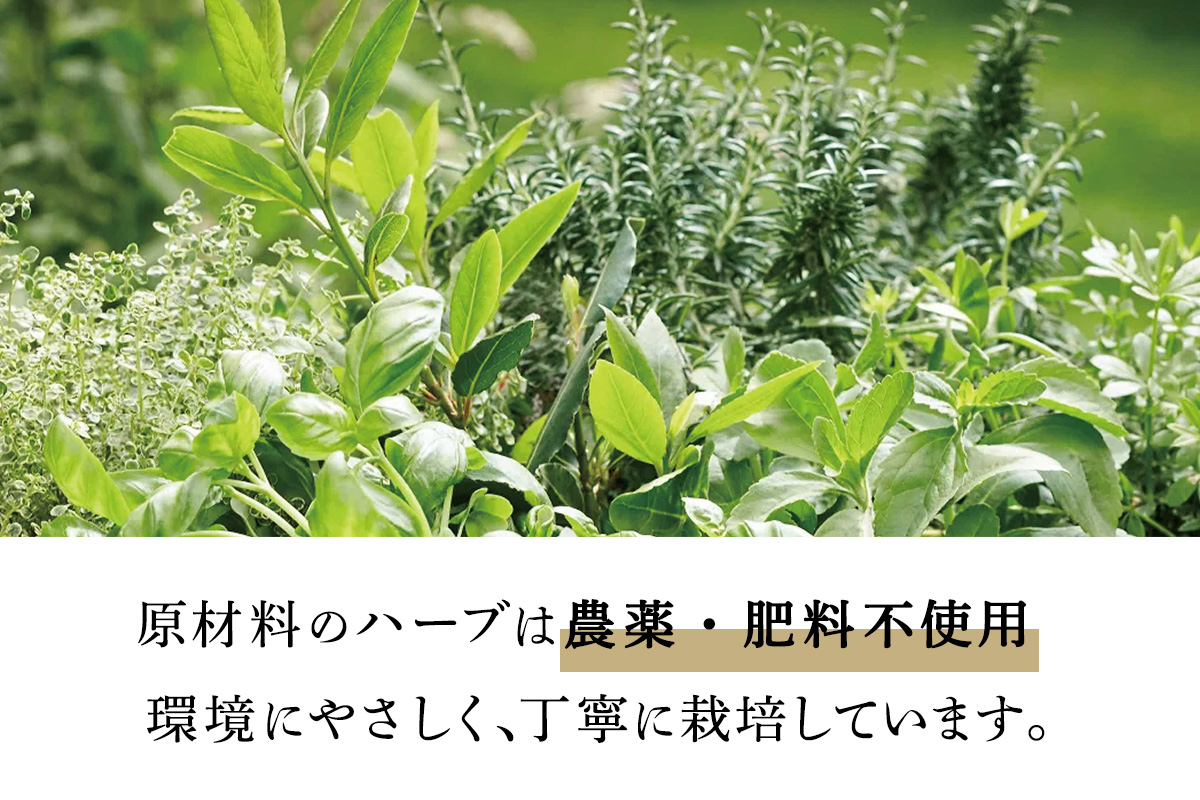 HAS 自然派ケア商品 詰め合わせ ギフトセット｜ハーブ 石けん 洗剤 シャンプー 農薬不使用 [0371]