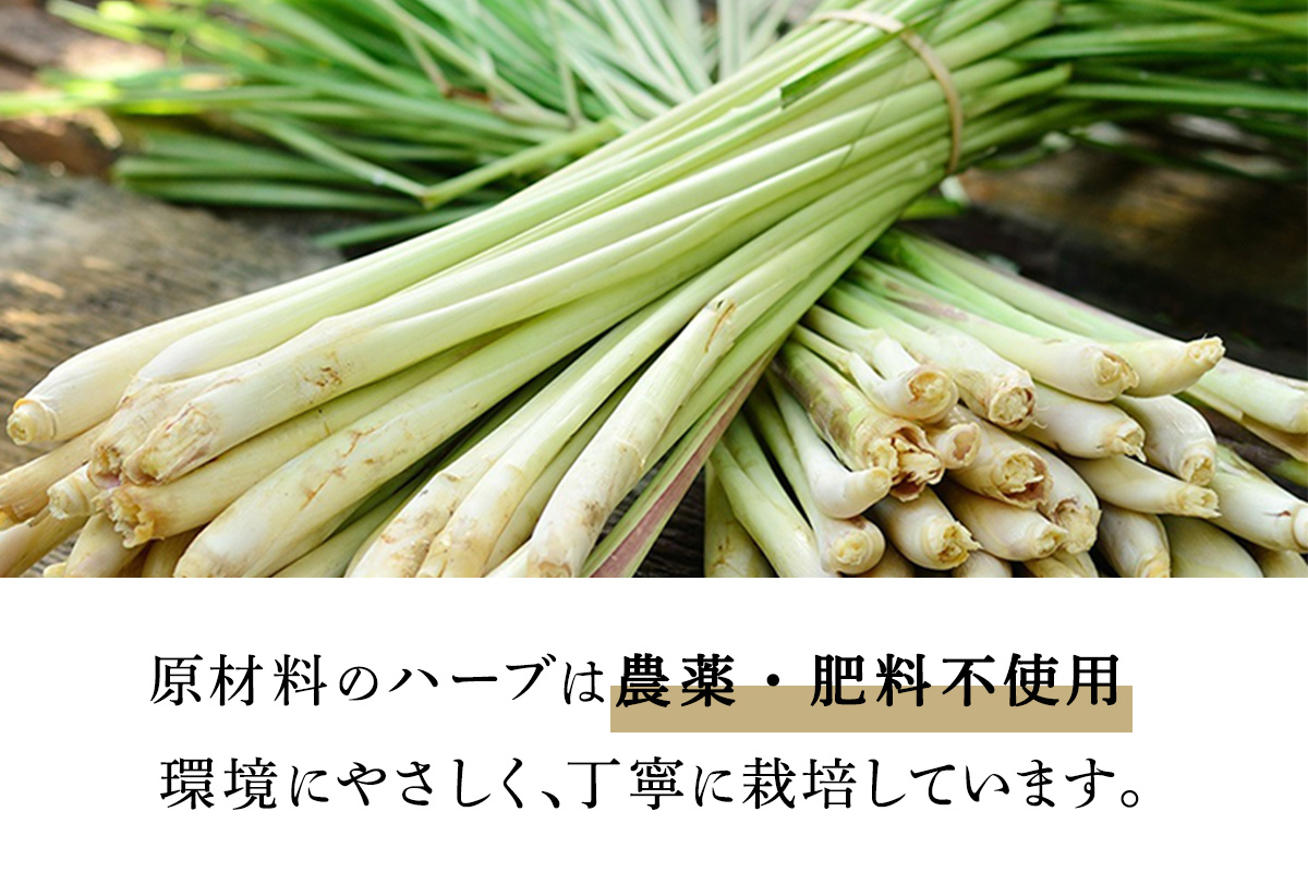 人にも環境にもやさしい HAS ハーブ洗剤 [レモングラス]×2本(ポンプ付き)｜ハーブ 洗剤 レモングラス 農薬不使用 [0374]