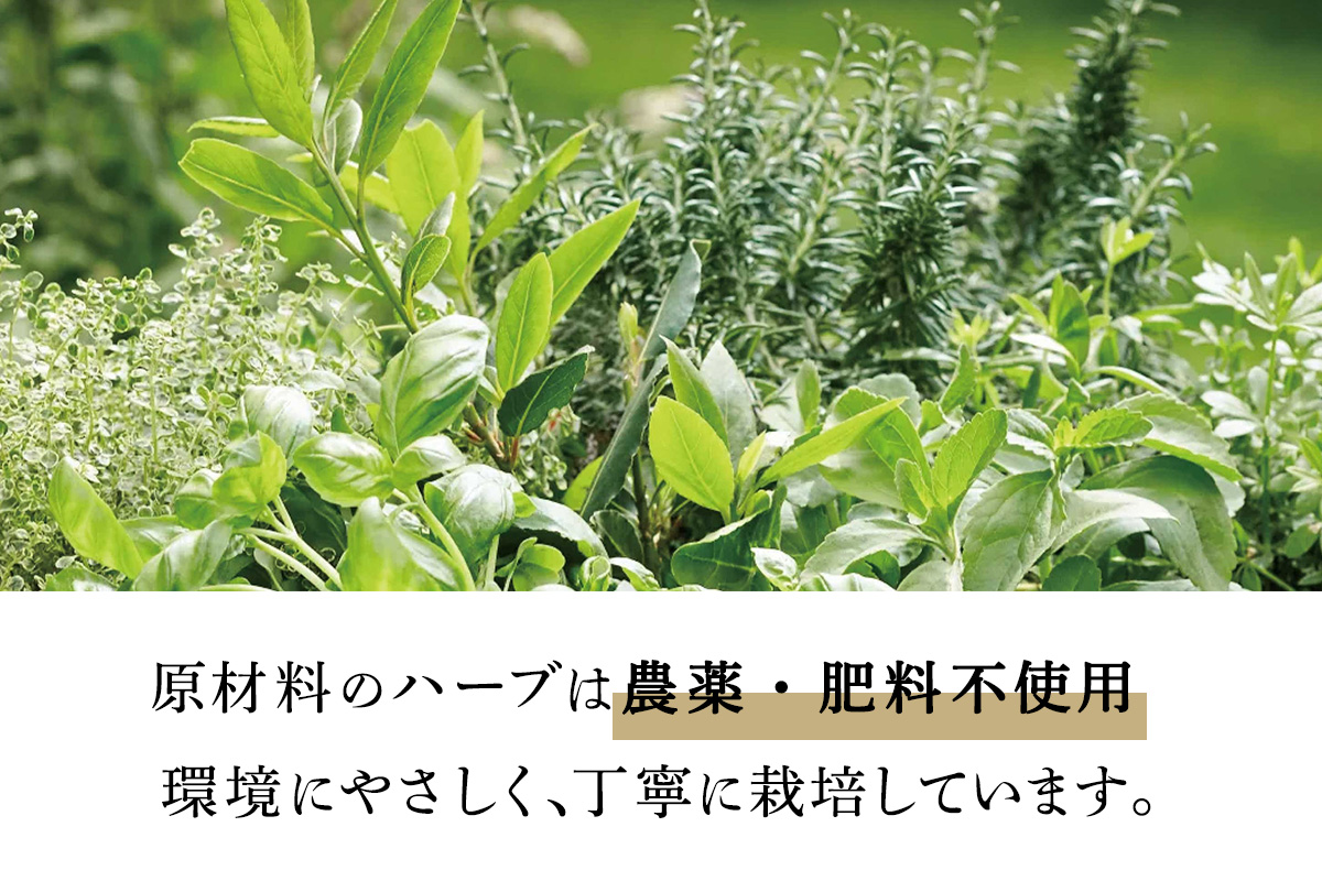 人にも環境にもやさしい HAS ハーブ石けん [ローズマリー]×1個｜ハーブ 石けん ローズマリー 農薬不使用 [0381]