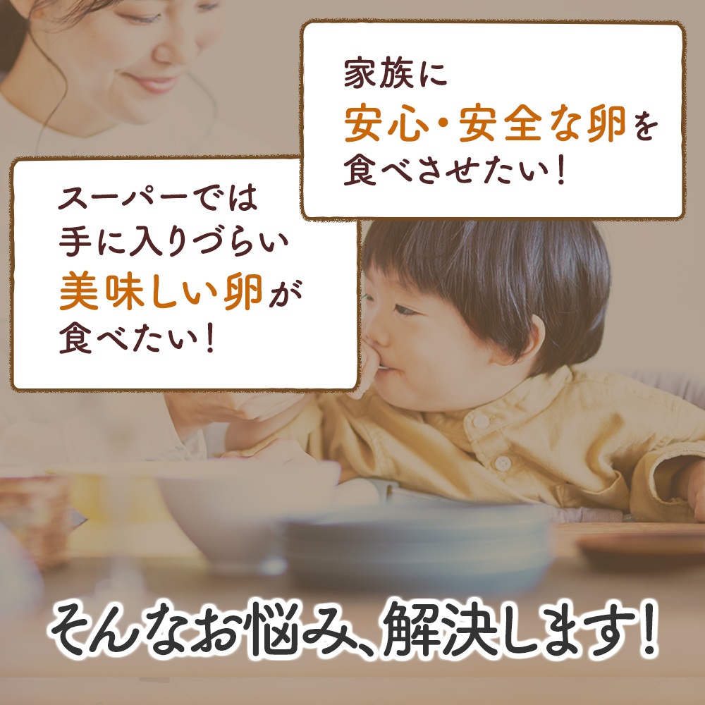 [特別定期便全12回] たまご 2回目以降はお好きなタイミングでお届け！ 坂本養鶏 大山の麓で育ったさかもとのたまご 合計960個 (80個×12回)｜伊勢原市 赤玉卵 玉子 鶏卵 生卵 国産 TKG タマゴ 新鮮 大山 鶏 ギフト 安心 安全 親子丼 卵焼き 目玉焼き お菓子 [0399b]