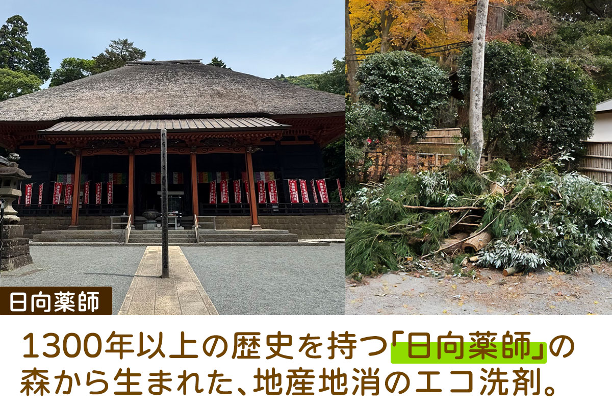 地域洗剤「日向薬師の森洗剤3kgBOX」｜洗剤 日向薬師 [0447]