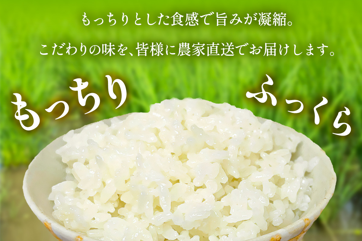 新米 [令和7年産] 伊勢原産 精米5kg はるみ 農家直送！加藤さんちのうんめぇ！自家製米 ｜先行予約 お米 おこめ コメ 白米 神奈川 伊勢原 ブランド米 [0523]