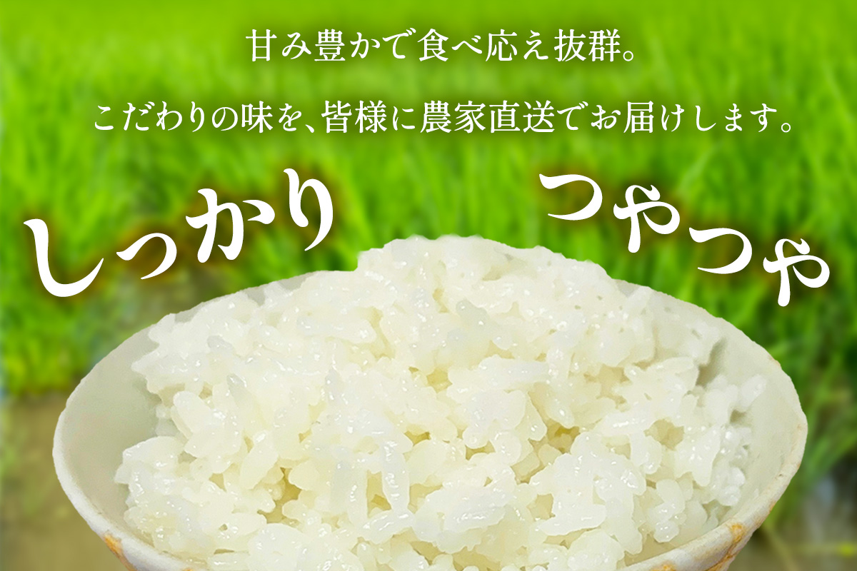 新米 [令和7年産] 伊勢原産 精米5kg てんこもり 農家直送！加藤さんちのうんめぇ！自家製米｜先行予約 お米 おこめ コメ 白米 神奈川 伊勢原 [0526]