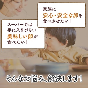 [定期便／12ヶ月] 月1回 さかもとのたまご 40個 (36個＋割れ保証4個) 合計480個｜坂本養鶏 大山の麓で育ったさかもとのたまご 赤玉卵 玉子 鶏卵 伊勢原市 赤玉卵 玉子 生卵 国産 TKG タマゴ 新鮮 大山 鶏 ギフト 安心 安全 親子丼 卵焼き 目玉焼き お菓子 [0748]