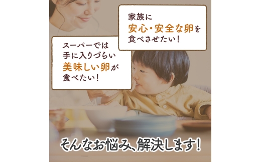 [特別定期便全12回] たまご 2回目以降はお好きなタイミングでお届け！ 坂本養鶏 大山の麓で育ったさかもとのたまご 合計360個 (30個×12回)｜伊勢原市 赤玉卵 玉子 鶏卵 生卵 国産 TKG タマゴ 新鮮 大山 鶏 ギフト 安心 安全 親子丼 卵焼き 目玉焼き お菓子 [1026]