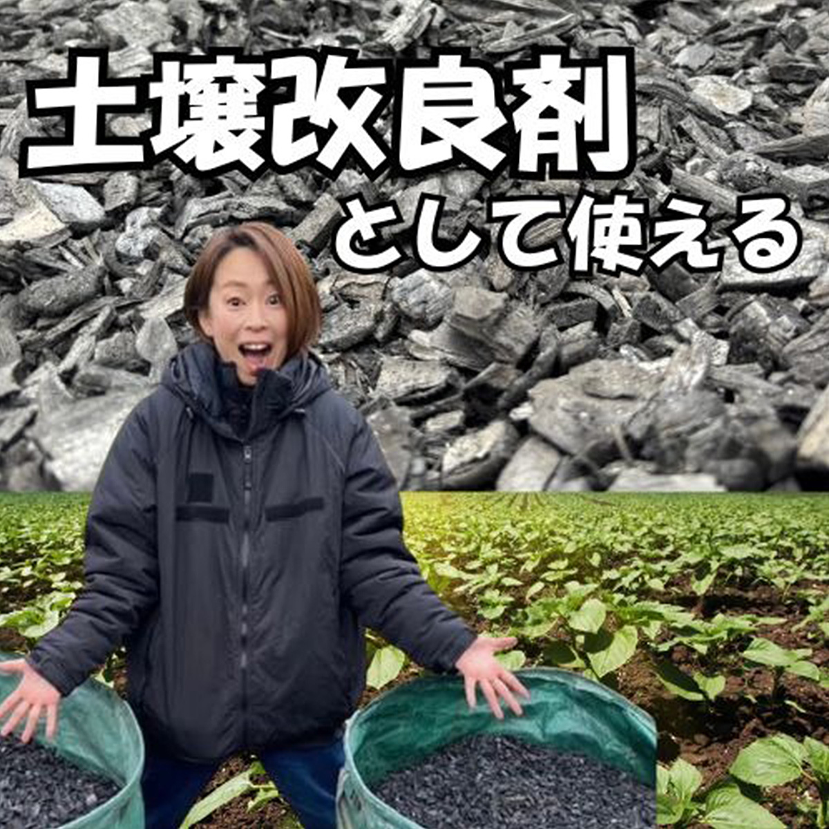 竹炭 大粒 6L 土壌改良 園芸 消臭 調湿効果｜竹炭 観葉植物 調湿 ポーラス竹炭 菌ちゃん農法 [0588]