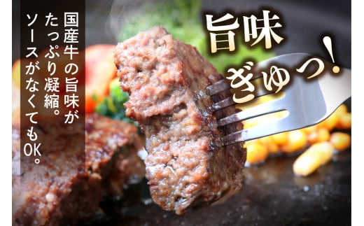 柏木牧場特製 国産牛100%ハンバーグ (120g×30個)｜国産 ハンバーグ 冷凍 グルメ ギフト お惣菜 惣菜 大容量 [0069]