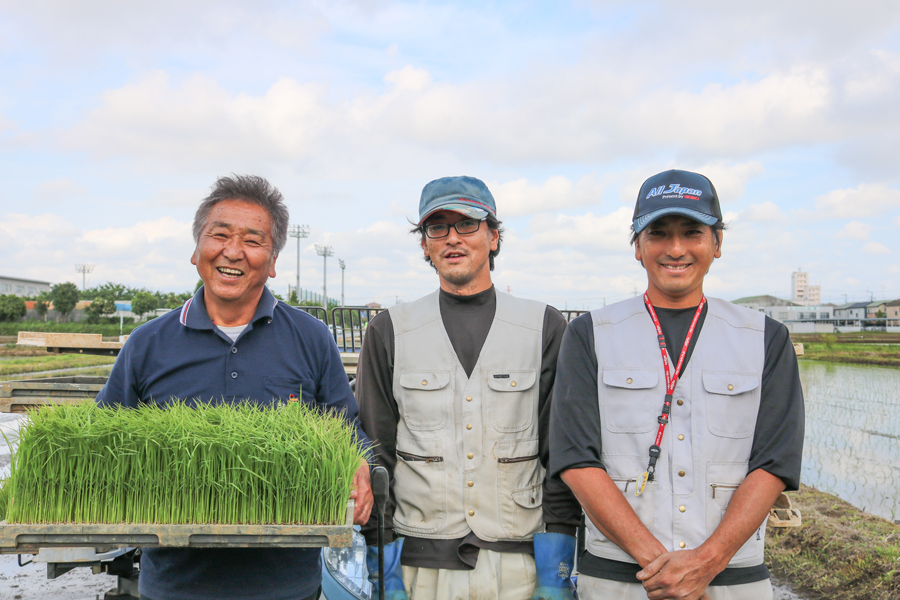 新米 [令和7年産] 伊勢原産 精米 5kg はるみ 農家直送！亀井さんちのうんめぇ！自家製米｜お米 おこめ コメ 白米 神奈川 伊勢原 ブランド米 2025年 産地直送 [0355]