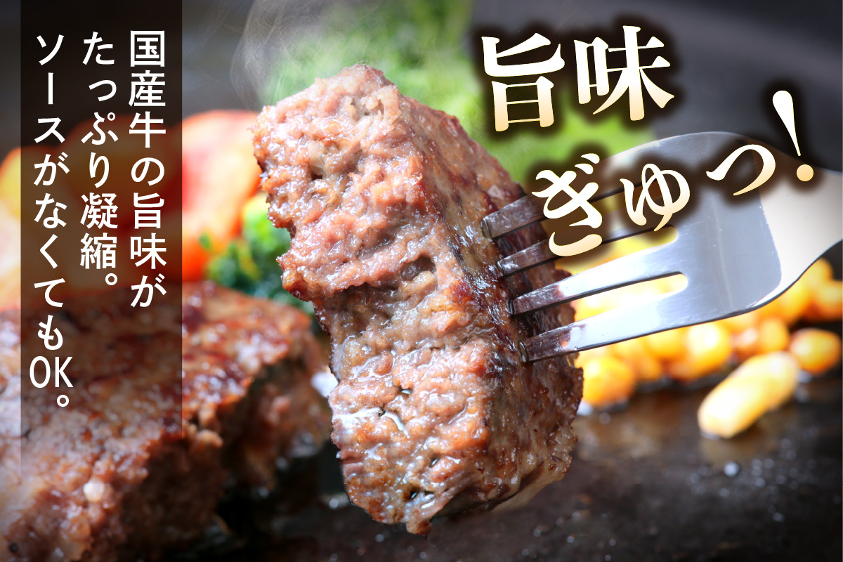 柏木牧場特製 生ハンバーグ 160g×4個 [国産牛100%] ジュワッと肉汁まで美味い！(冷蔵配送)｜国産 ハンバーグ 冷蔵 グルメ ギフト お惣菜 惣菜 [0354]