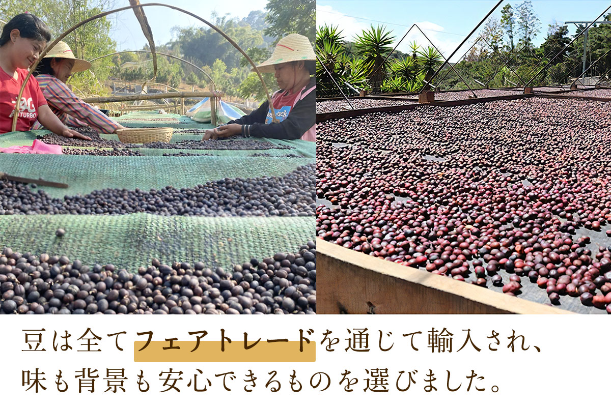 日向珈琲セット(ブレンド／グアテマラ／ミャンマー130g 豆＋ドリップパック 6個×3種 計18個)｜日向珈琲 コーヒー ドリップ ドリップパック 伊勢原市 [0449]