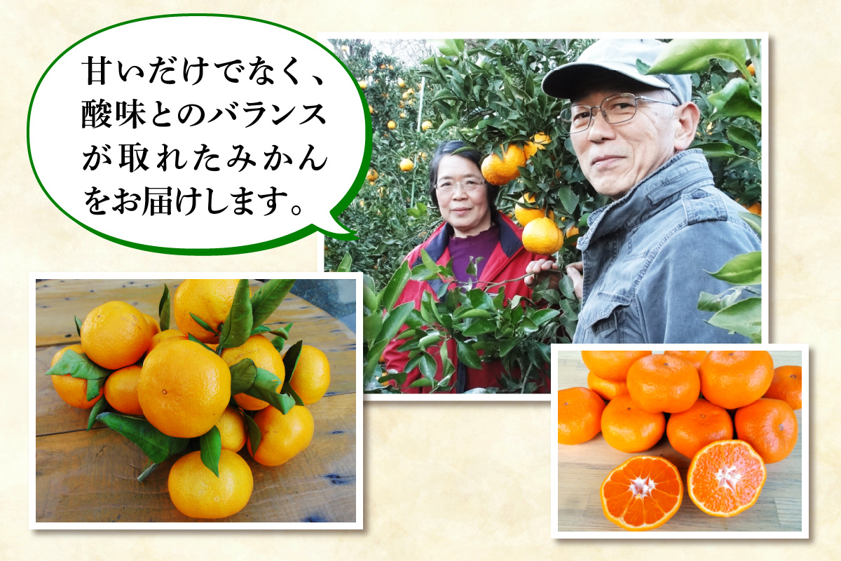 [2025年12月下旬頃から発送] 温州みかん 5kg｜先行予約 みかん フルーツ 果物 柑橘 [0535]