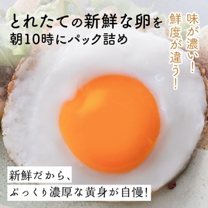 [定期便／6ヶ月] 月2回 全12回 さかもとのたまご 40個 (36個＋割れ保証4個) 合計480個｜坂本養鶏 大山の麓で育ったさかもとのたまご 赤玉卵 玉子 鶏卵 伊勢原市 赤玉卵 玉子 生卵 国産 TKG タマゴ 新鮮 大山 鶏 ギフト 安心 安全 親子丼 卵焼き 目玉焼き お菓子 [0749]