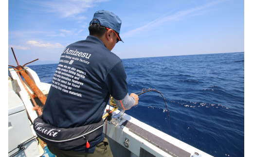 Amizesu シマアジ釣りセット (ウィリー針・仕掛けセット) [0109]