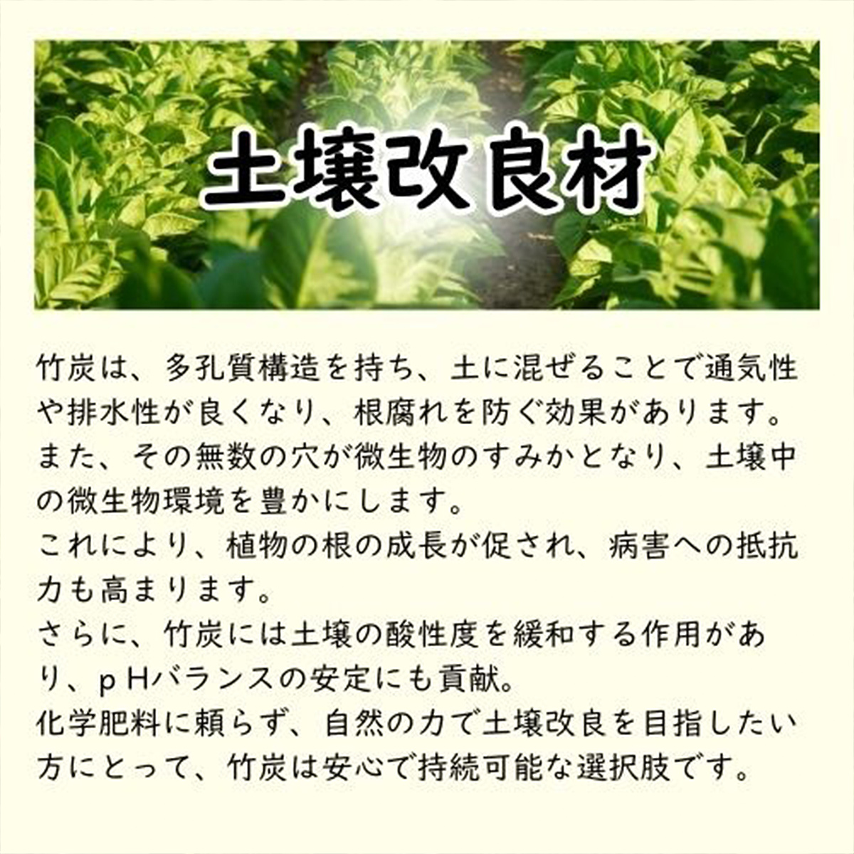 竹炭 大粒 6L 土壌改良 園芸 消臭 調湿効果｜竹炭 観葉植物 調湿 ポーラス竹炭 菌ちゃん農法 [0588]