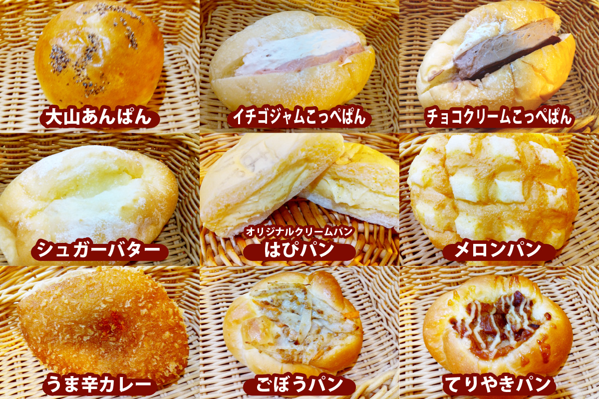 はぴはぴハッピーぱん 15個詰め合わせセット｜パン 美味しい ふんわり おすすめ 冷凍 冷凍パン 詰め合わせ [0497]