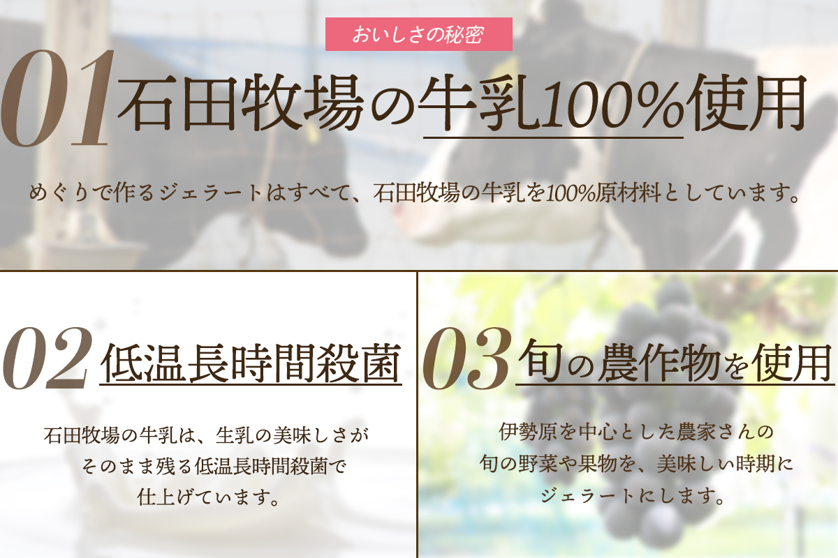 [定期便／約3ヶ月に1回 全4回] 石田牧場のジェラート屋めぐり おまかせ ジェラート 計48個 (12個×4回)｜石田牧場 ジェラート 伊勢原 贅沢素材 アイス アイスクリーム スイーツ ギフト 詰め合わせ 贈り物 プレゼント 人気 お取り寄せ [0358]