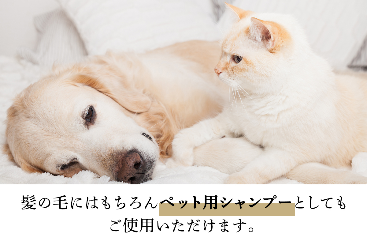 人にも環境にもやさしい HAS ハーブシャンプー[レモングラス]×4本｜ハーブ シャンプー レモングラス 農薬不使用 [0377]