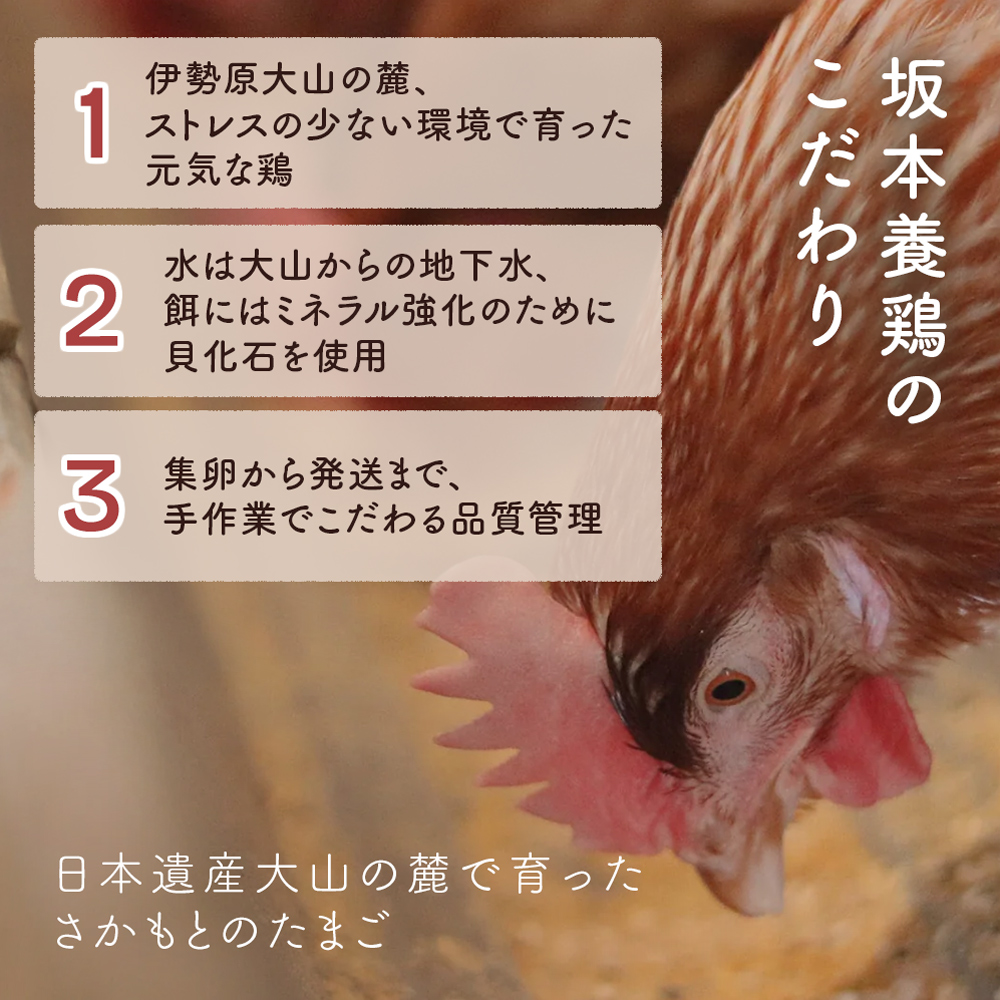 [特別定期便全12回] たまご 2回目以降はお好きなタイミングでお届け！ 坂本養鶏 大山の麓で育ったさかもとのたまご 合計960個 (80個×12回)｜伊勢原市 赤玉卵 玉子 鶏卵 生卵 国産 TKG タマゴ 新鮮 大山 鶏 ギフト 安心 安全 親子丼 卵焼き 目玉焼き お菓子 [0399b]