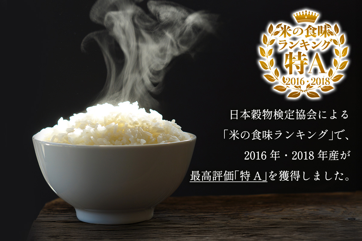 新米 [令和7年産] 伊勢原産 精米5kg てんこもり 農家直送！加藤さんちのうんめぇ！自家製米｜先行予約 お米 おこめ コメ 白米 神奈川 伊勢原 [0526]