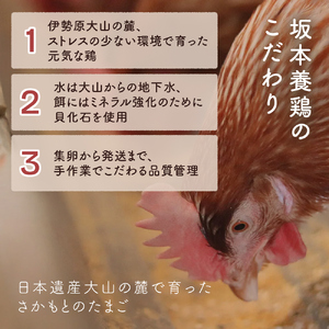 [定期便／12ヶ月] 月1回 さかもとのたまご 40個 (36個＋割れ保証4個) 合計480個｜坂本養鶏 大山の麓で育ったさかもとのたまご 赤玉卵 玉子 鶏卵 伊勢原市 赤玉卵 玉子 生卵 国産 TKG タマゴ 新鮮 大山 鶏 ギフト 安心 安全 親子丼 卵焼き 目玉焼き お菓子 [0748]
