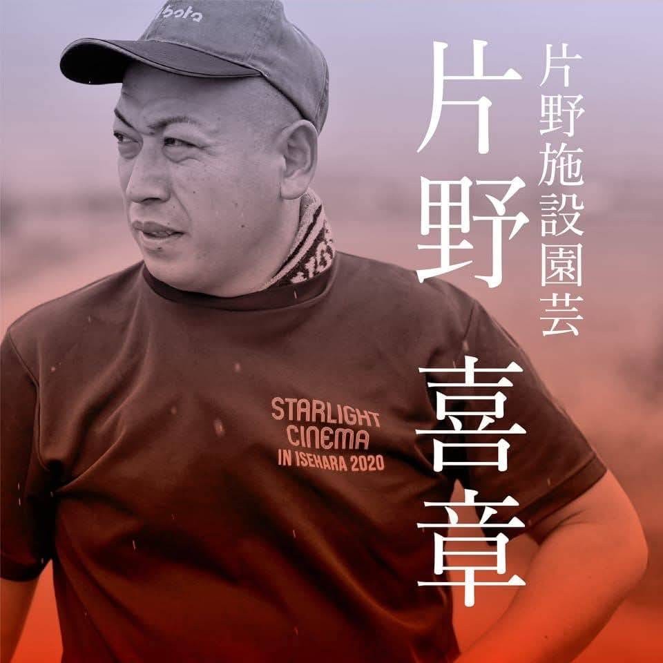 [先行受付] 栄養たっぷり！ トマト農家片野さんちの完熟トマト「れおん」 4kg｜野菜 トマト とまと [0932]