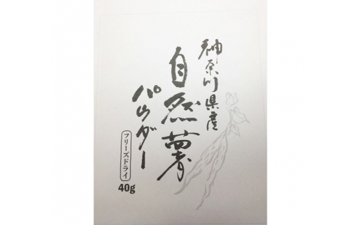 自然薯をおろさなくていいんです！自然薯パウダー 40g×5袋 水で溶いて手軽に召し上がれるフリーズドライの粉末 [0203]