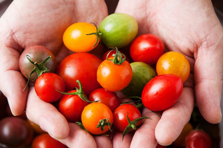 [2025年12月下旬より発送] フルティカトマト 2kg｜ブランドトマト 濃い味 リコピン アイメック栽培 甘い 旨い 食感が良い [0673]