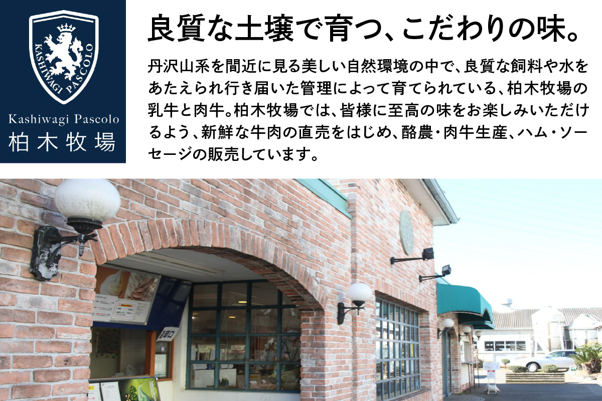 柏木牧場特製 生ハンバーグ 160g×4個 [国産牛100%] ジュワッと肉汁まで美味い！(冷蔵配送)｜国産 ハンバーグ 冷蔵 グルメ ギフト お惣菜 惣菜 [0354]