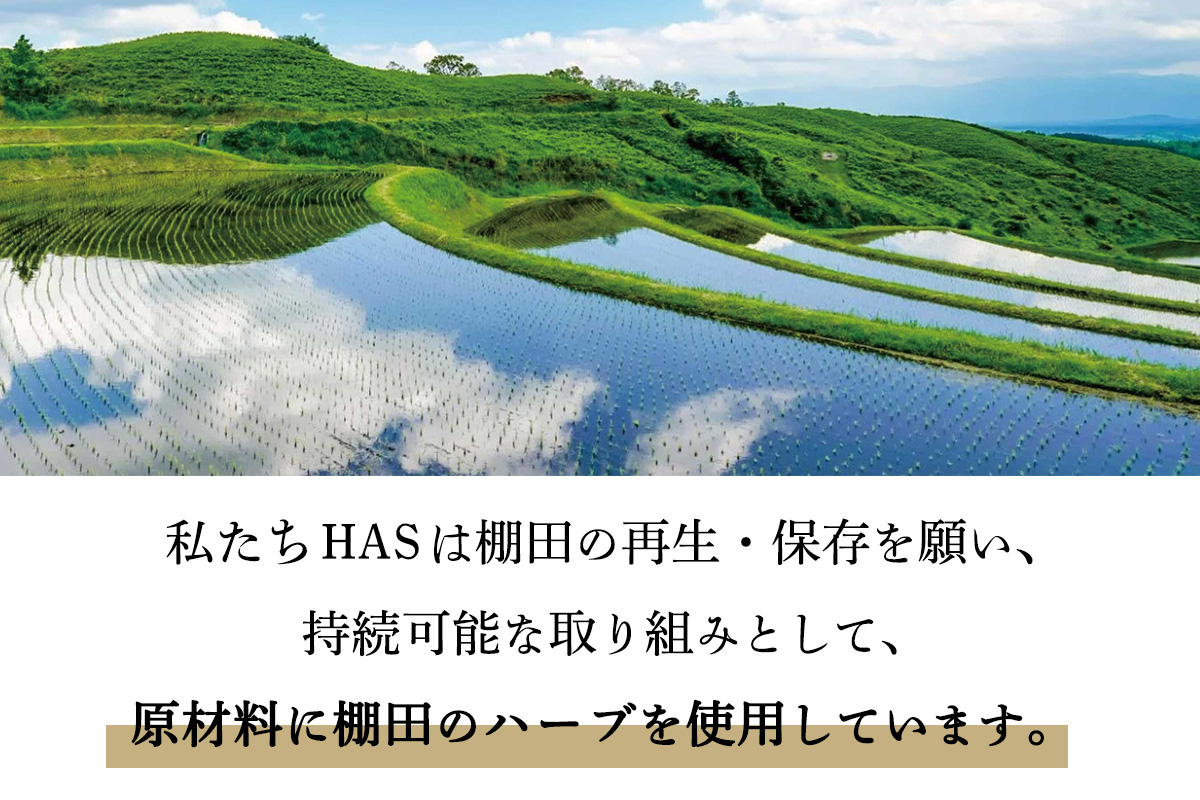 人にも環境にもやさしい HAS ハーブ洗剤 [レモングラス]×2本(ポンプ付き)｜ハーブ 洗剤 レモングラス 農薬不使用 [0374]