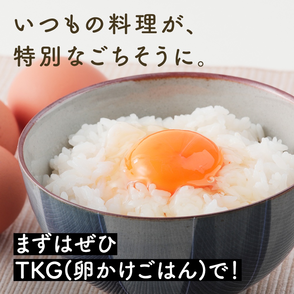 [特別定期便全12回] たまご 2回目以降はお好きなタイミングでお届け！ 坂本養鶏 大山の麓で育ったさかもとのたまご 合計960個 (80個×12回)｜伊勢原市 赤玉卵 玉子 鶏卵 生卵 国産 TKG タマゴ 新鮮 大山 鶏 ギフト 安心 安全 親子丼 卵焼き 目玉焼き お菓子 [0399b]