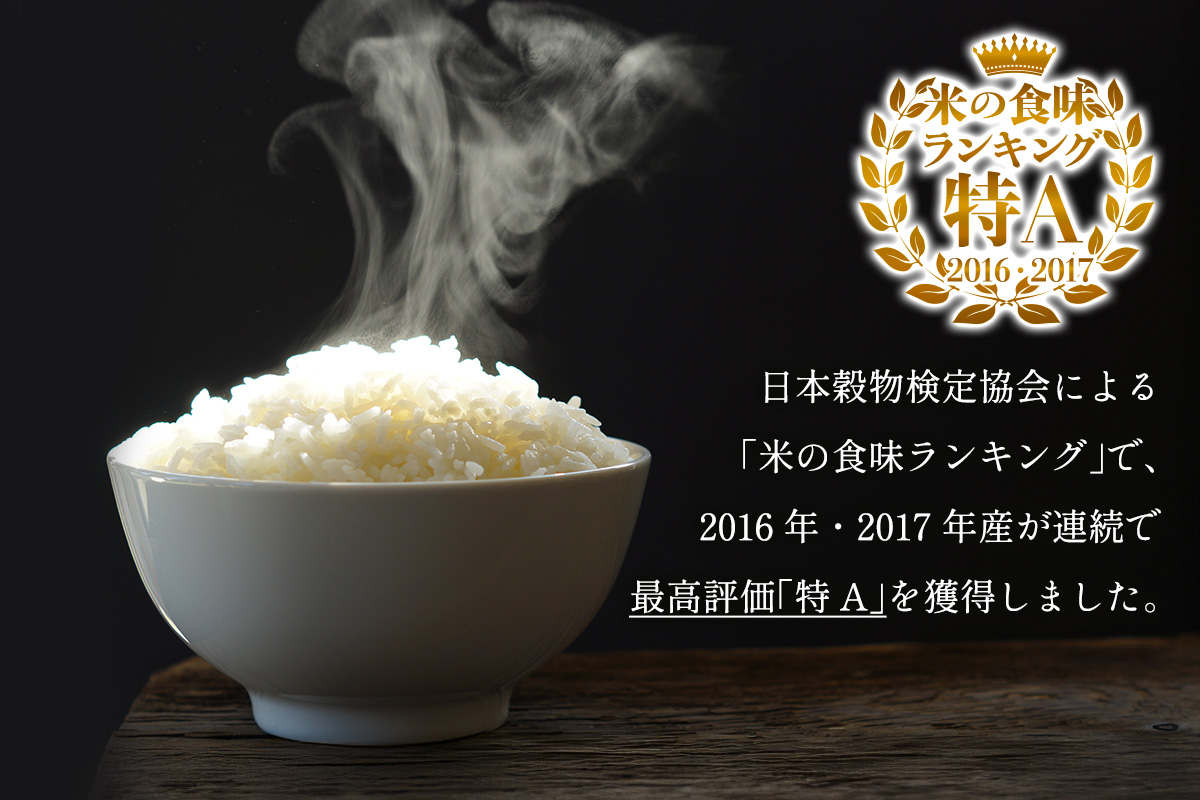 新米 [令和7年産] 伊勢原産 精米5kg はるみ 農家直送！加藤さんちのうんめぇ！自家製米 ｜先行予約 お米 おこめ コメ 白米 神奈川 伊勢原 ブランド米 [0523]