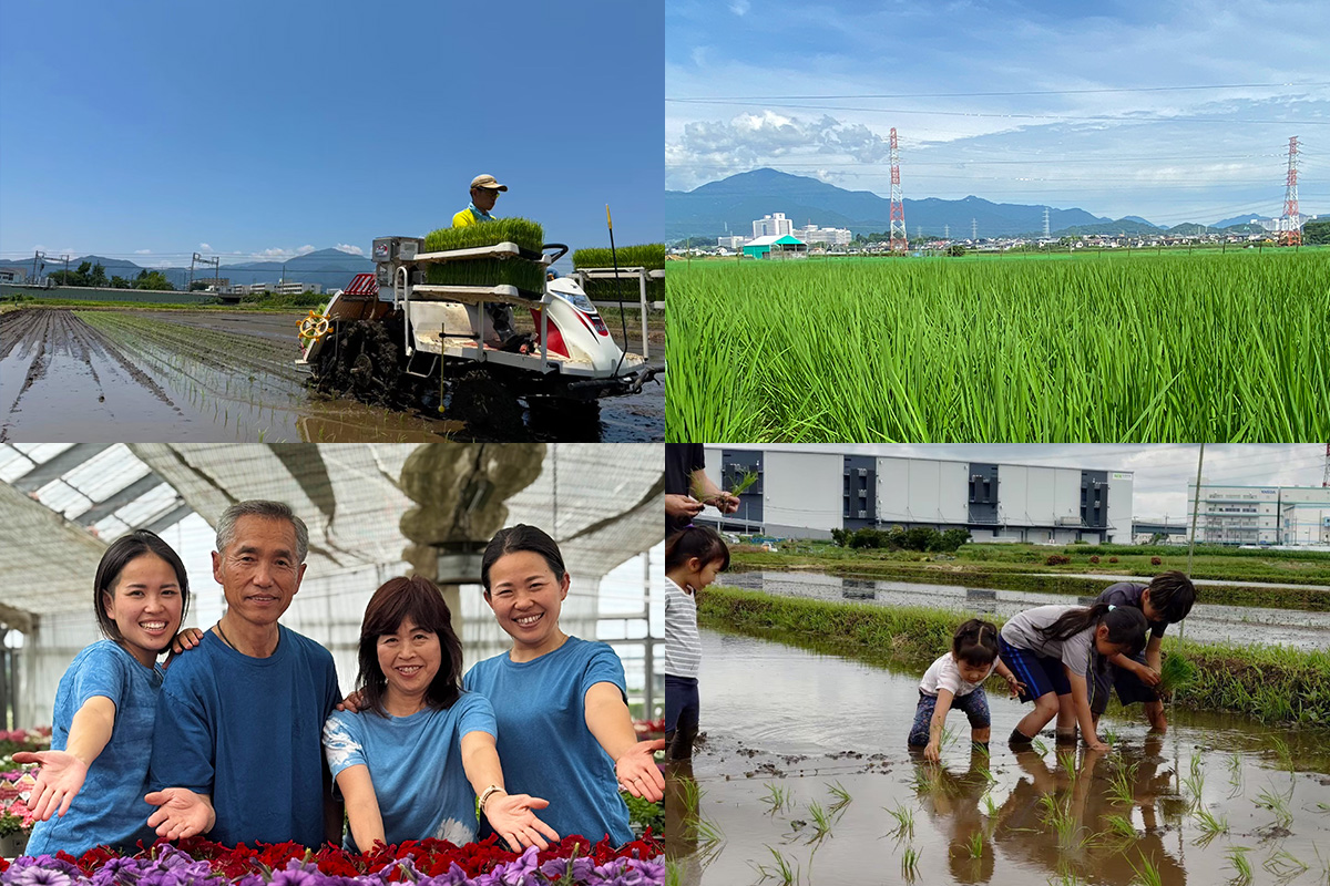 [令和7年産] 伊勢原産 精米10kg(5kg×2袋) てんこもり 農家直送！加藤さんちのうんめぇ！自家製米｜お米 おこめ コメ 白米 神奈川 伊勢原 [0527]