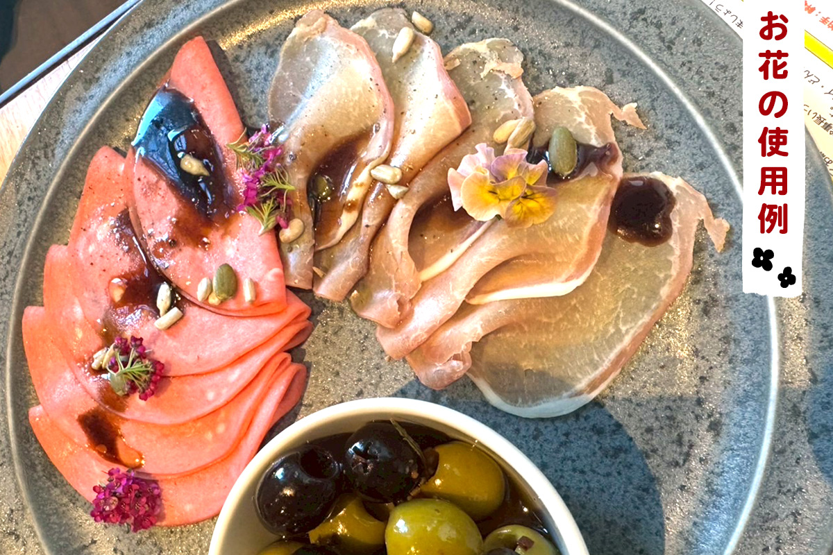 農家直送！加藤さんちのエディブルフラワー 24ポット｜鉢植え 観賞用 食用 花 お花 野菜 トッピング 付け合わせ [0776]