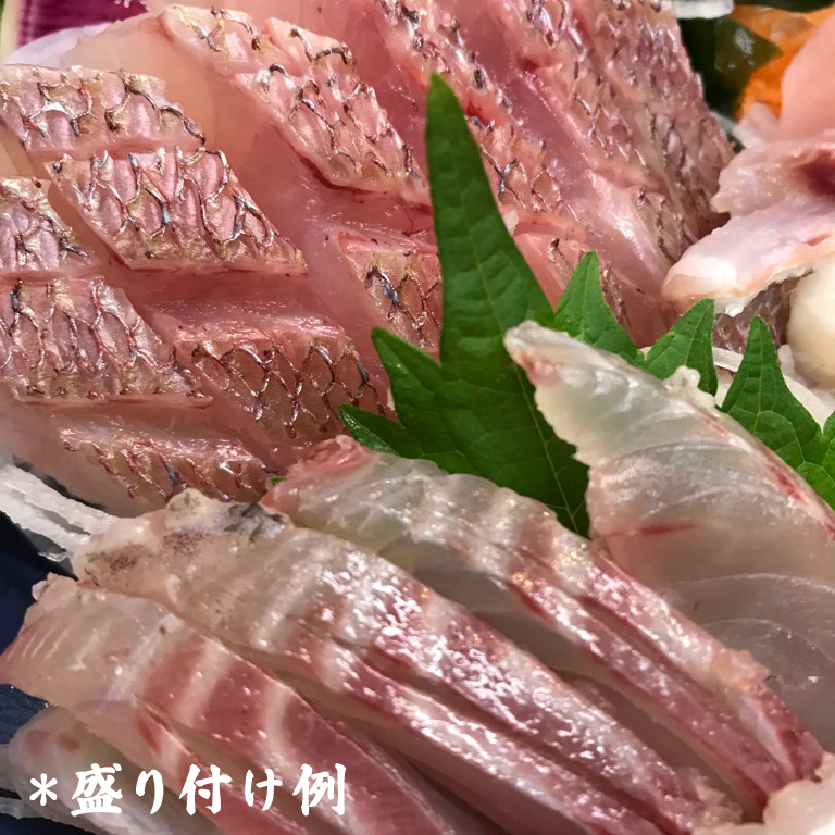 [ととパッチョ] 相模湾の天然ヒラマサ 計320g (80g×4袋)《手軽にカルパッチョができるお魚スライス真空パック －80℃旬間凍結品》｜平政 平鰤 ひらまさ 魚 刺身 お刺身 冷凍 真空パック 相模湾 カルパッチョ お魚 海鮮 魚介 伊勢原市 [0920]