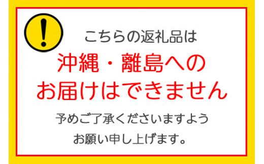 [先行受付] 栄養たっぷり！ トマト農家片野さんちの完熟トマト「れおん」 4kg｜野菜 トマト とまと [0932]