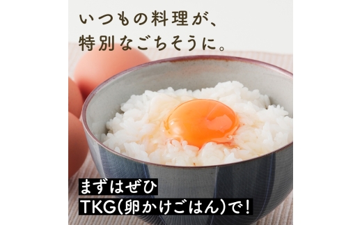[特別定期便全12回] たまご 2回目以降はお好きなタイミングでお届け！ 坂本養鶏 大山の麓で育ったさかもとのたまご 合計360個 (30個×12回)｜伊勢原市 赤玉卵 玉子 鶏卵 生卵 国産 TKG タマゴ 新鮮 大山 鶏 ギフト 安心 安全 親子丼 卵焼き 目玉焼き お菓子 [1026]