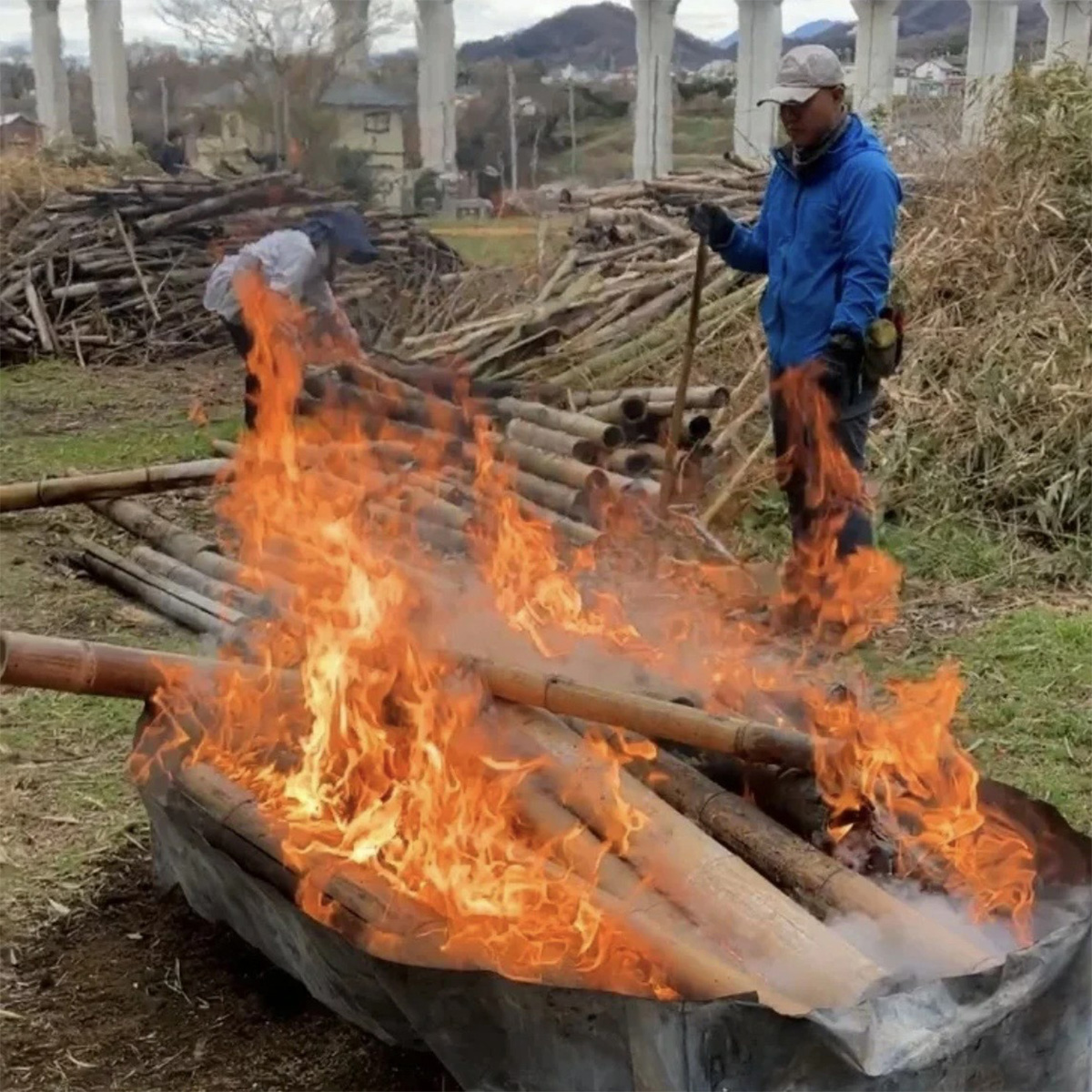 竹炭 大粒 6L 土壌改良 園芸 消臭 調湿効果｜竹炭 観葉植物 調湿 ポーラス竹炭 菌ちゃん農法 [0588]