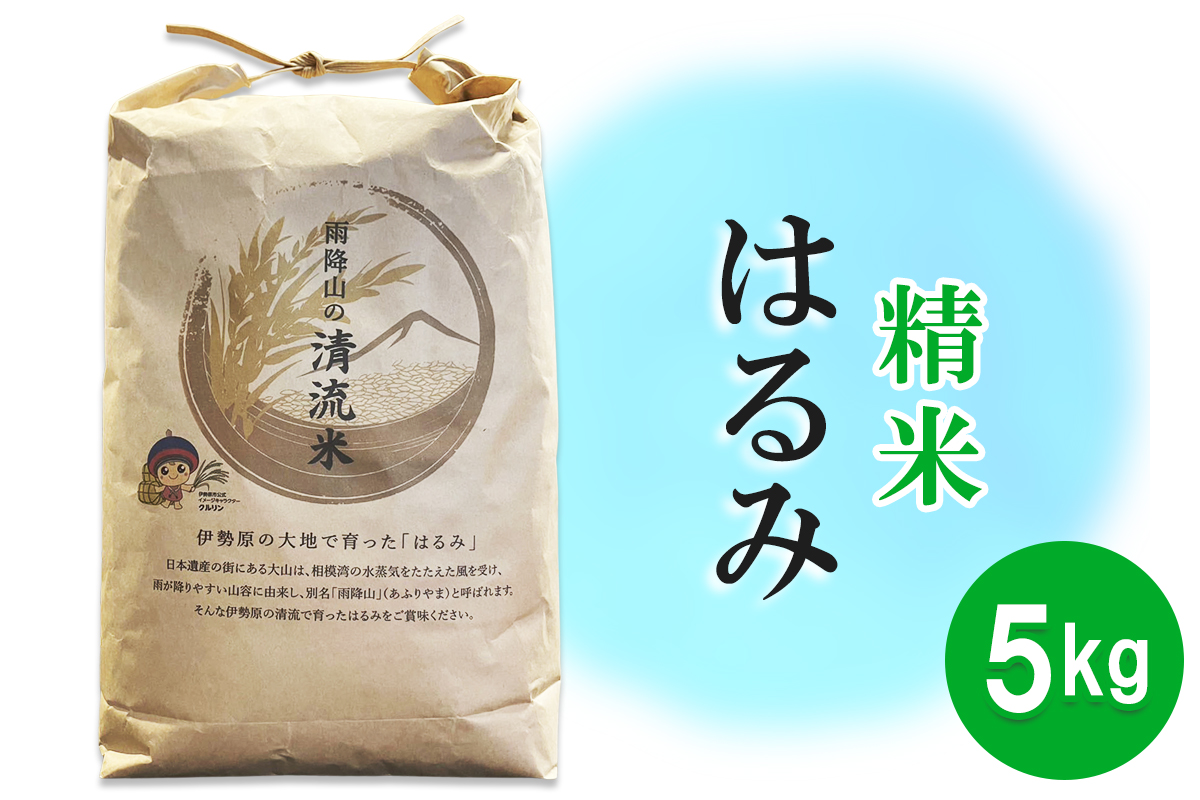 新米 令和7年産 伊勢原の米「はるみ」5kg 精米済｜米 お米 伊勢原 はるみ 精米 いせはらVILLAGE [0715]