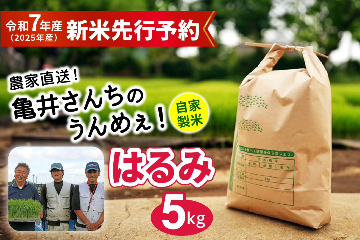 新米 [令和7年産] 伊勢原産 精米 5kg はるみ 農家直送！亀井さんちのうんめぇ！自家製米｜お米 おこめ コメ 白米 神奈川 伊勢原 ブランド米 2025年 産地直送 [0355]