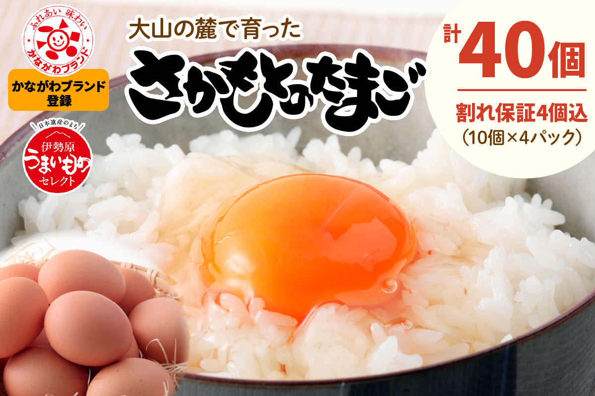 坂本養鶏 大山の麓で育った さかもとのたまご 40個 (36個＋割れ保証4個)｜伊勢原市 赤玉卵 玉子 鶏卵 生卵 国産 TKG タマゴ 新鮮 大山 鶏 ギフト 安心 安全 親子丼 卵焼き 目玉焼き お菓子 [0702]