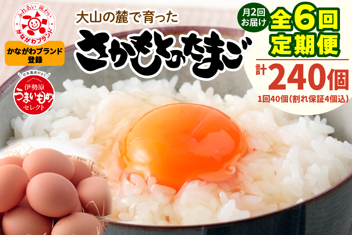 [定期便／3ヶ月] 月2回 全6回 さかもとのたまご 40個 (36個＋割れ保証4個) 合計240個｜坂本養鶏 大山の麓で育ったさかもとのたまご 赤玉卵 玉子 鶏卵 伊勢原市 赤玉卵 玉子 生卵 国産 TKG タマゴ 新鮮 大山 鶏 ギフト 安心 安全 親子丼 卵焼き 目玉焼き お菓子 [0708]