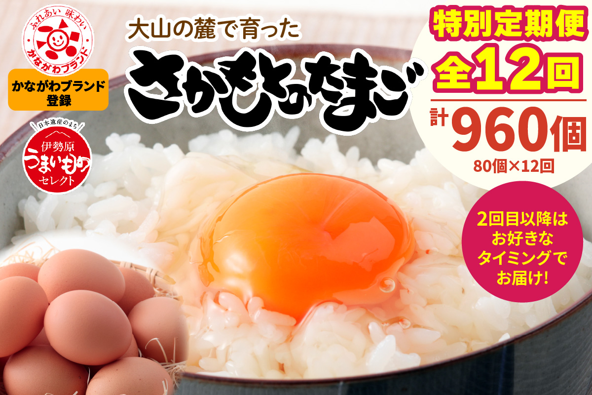 [特別定期便全12回] たまご 2回目以降はお好きなタイミングでお届け！ 坂本養鶏 大山の麓で育ったさかもとのたまご 合計960個 (80個×12回)｜伊勢原市 赤玉卵 玉子 鶏卵 生卵 国産 TKG タマゴ 新鮮 大山 鶏 ギフト 安心 安全 親子丼 卵焼き 目玉焼き お菓子 [0399b]