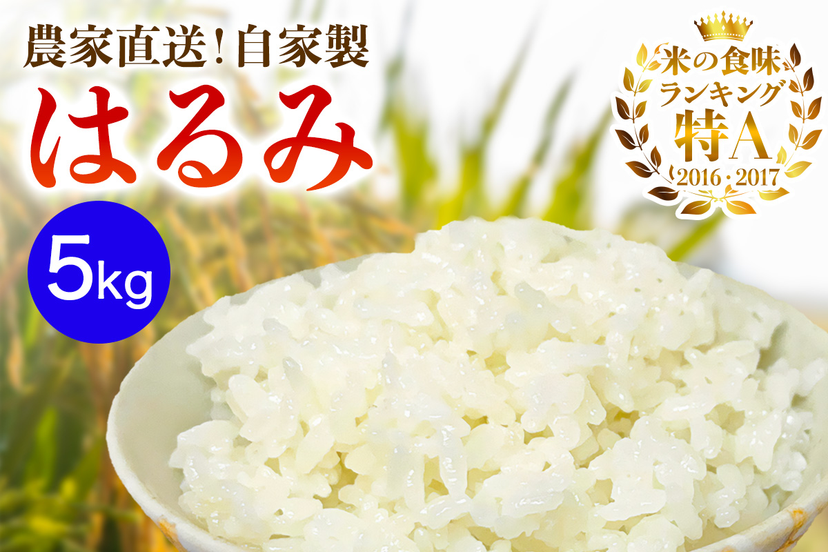 新米 [令和7年産] 伊勢原産 精米5kg はるみ 農家直送！加藤さんちのうんめぇ！自家製米 ｜先行予約 お米 おこめ コメ 白米 神奈川 伊勢原 ブランド米 [0523]
